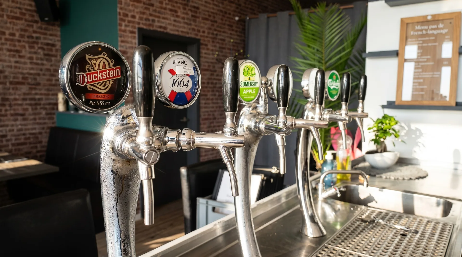 Frisch gezapftes Bier an der Bar